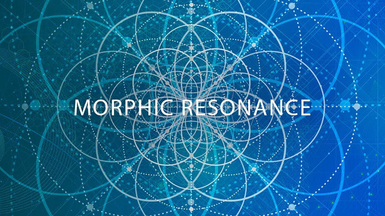Morphik Rezonans